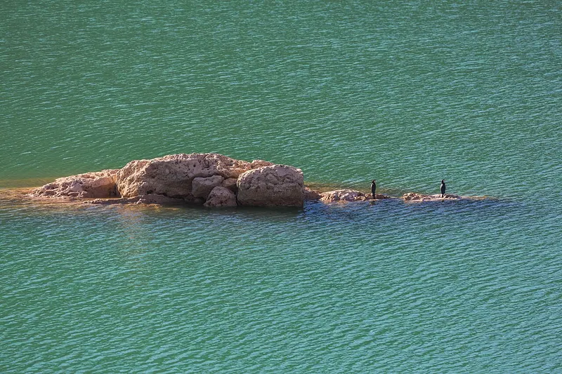 Embalse de la Tranquera, Zaragoza, España, 2015-01-09, DD 53.JPG