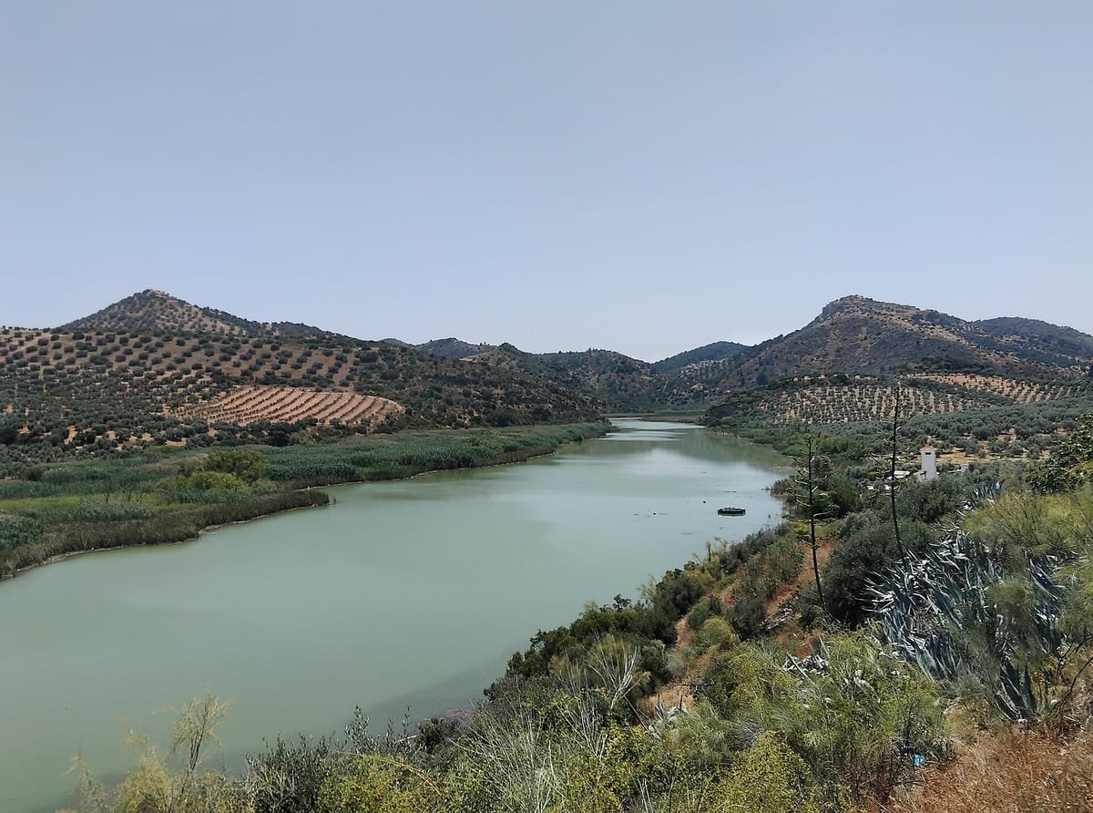 Malpasillo (Jauja), Sevilla